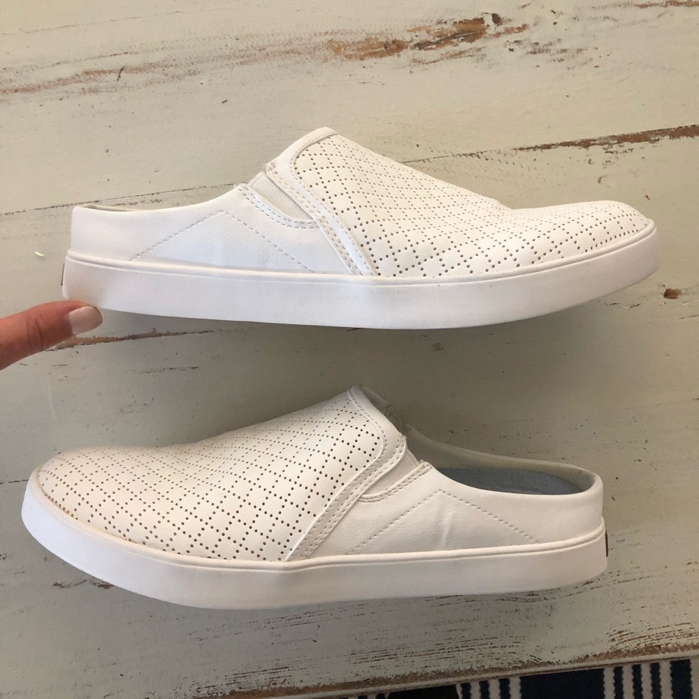 Dr. Schools slide shows